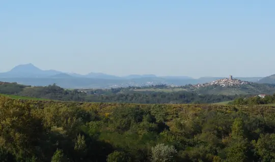 Panoramas